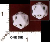 Dice : D20 OPAQUE ROUNDED SOLID CHESSEX CUSTOM FOR JON DAHLBERG 01
