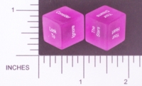Dice : NON NUMBERED TRANSLUCENT ROUNDED SOLID DESTINY DICE COUNCILING 01