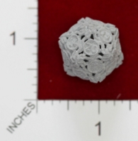 Dice : MINT22 SHAPEWAYS JENGINEER 20 SIDED DIE WITH LEAVES 03