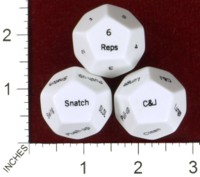 Dice : D12 OPAQUE ROUNDED SOLID PHYSED FIT FUNCTIONAL INTENSITY TRAINING